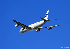 [青い空]　FINNAIR A340-313 OH-LQD