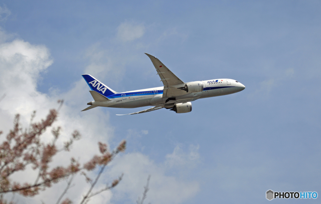 ANA 787-8 JA827A 飛び立ち　