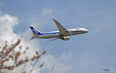 ANA 787-8 JA827A 飛び立ち　