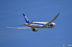 ANA 787-8 JA822A 離陸 