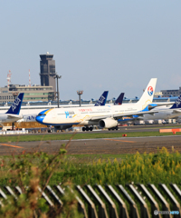 離陸 中国東方A330-343 B-6125 