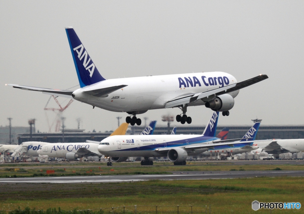 ANA Cargo 767-381 着陸　