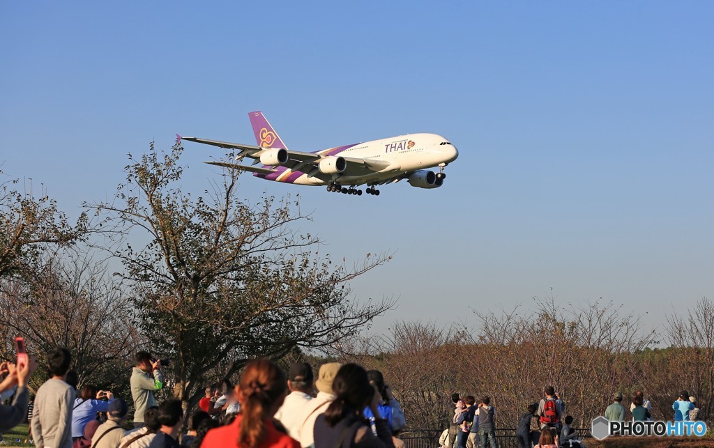 きた..来たね！　THAI A380-841 HS-TUA