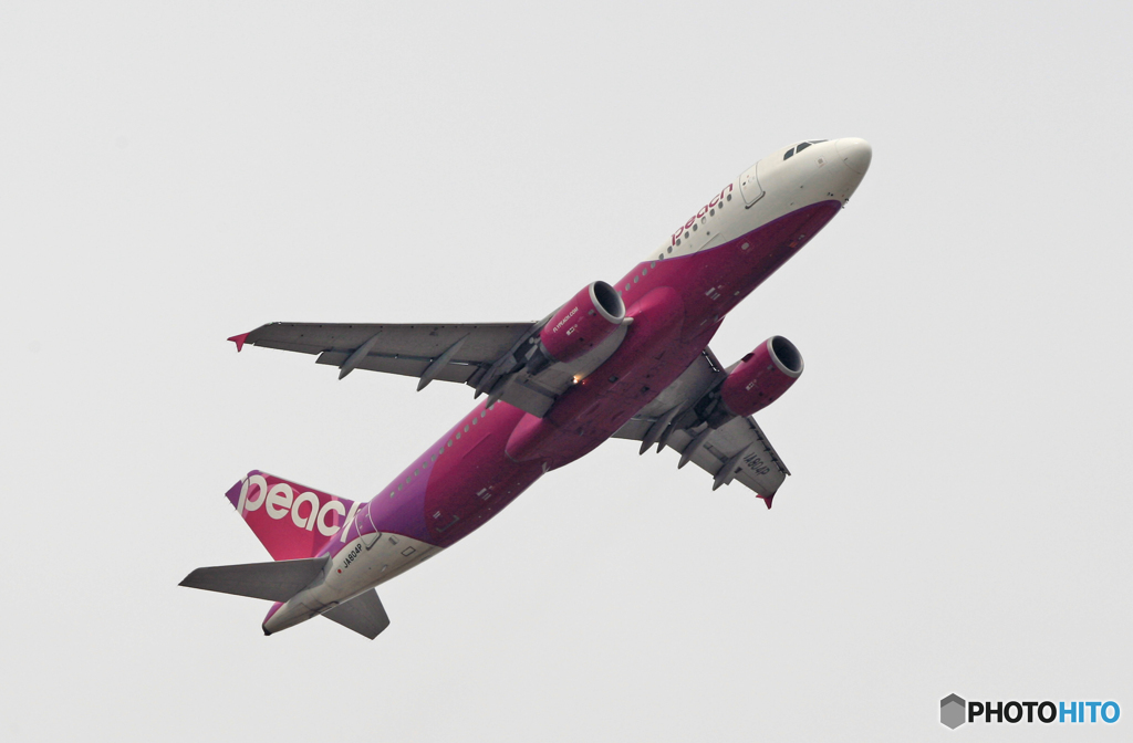 peach A320 JA804P