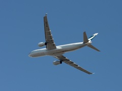 CPX A330-343 飛行