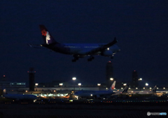 ☮　ハワイアン航空　☮