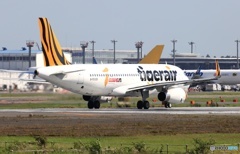 離陸  tigerair A320-232