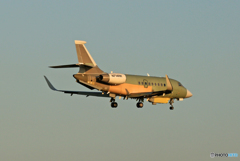 到着プライベートジェットDassault Falcon 2000 N714RK
