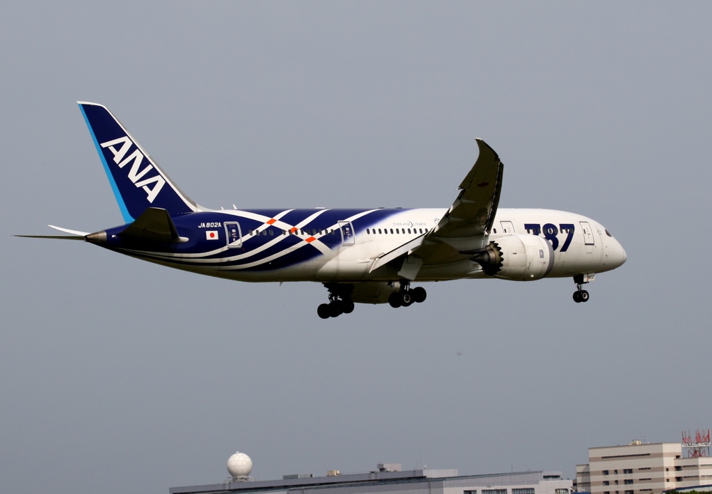 ANA 787-8 サバ塗装機 １/２ by x191300cc （ID：4571322） - 写真共有 