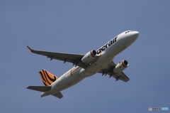 tigerair  阪神・優勝かな？