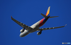 「良い天気」 ASIANA A330-323 HL7793☀