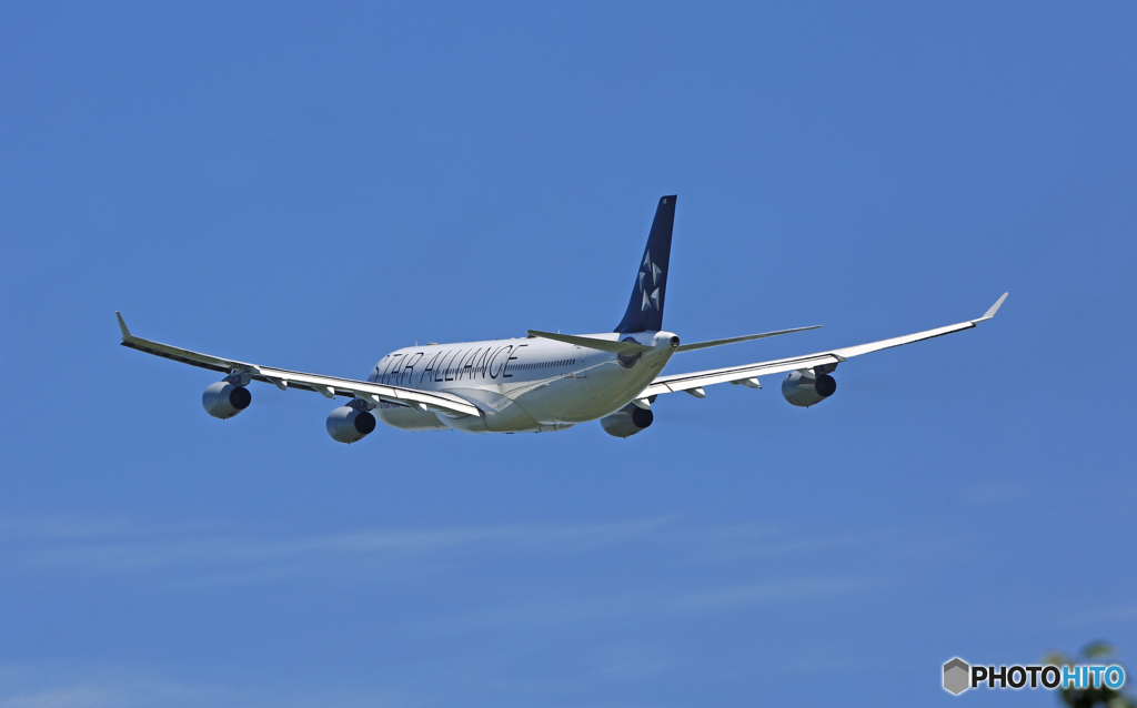Lufthansa A340-313 D-AIGN 離陸 