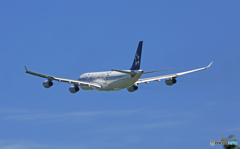 Lufthansa A340-313 D-AIGN 離陸 