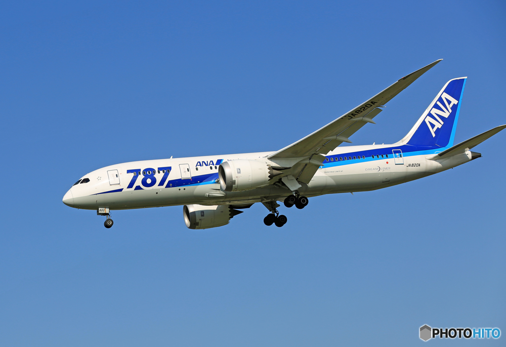 「青が大好き」 ANA 787-8 JA820A Landing