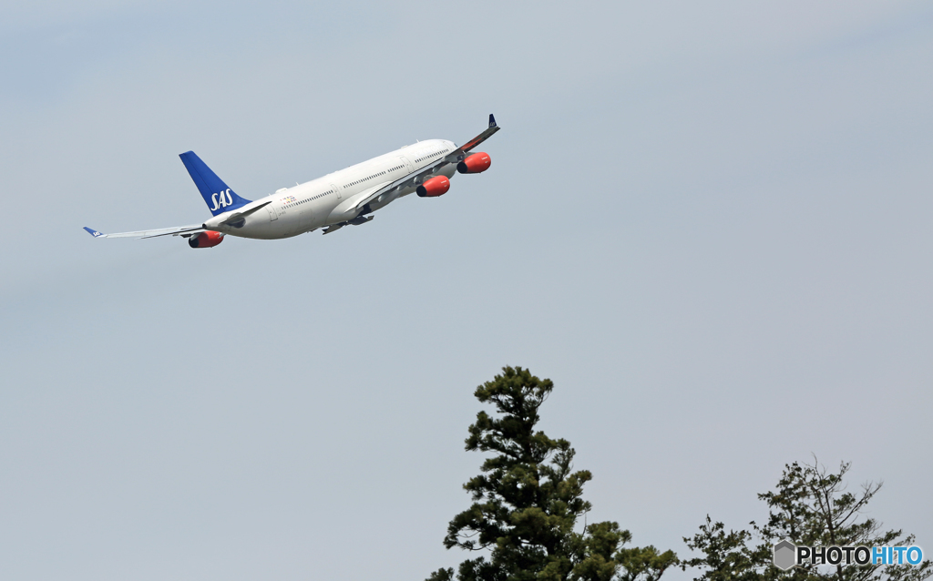 Takeoff SAS A340-313 LN-RKG