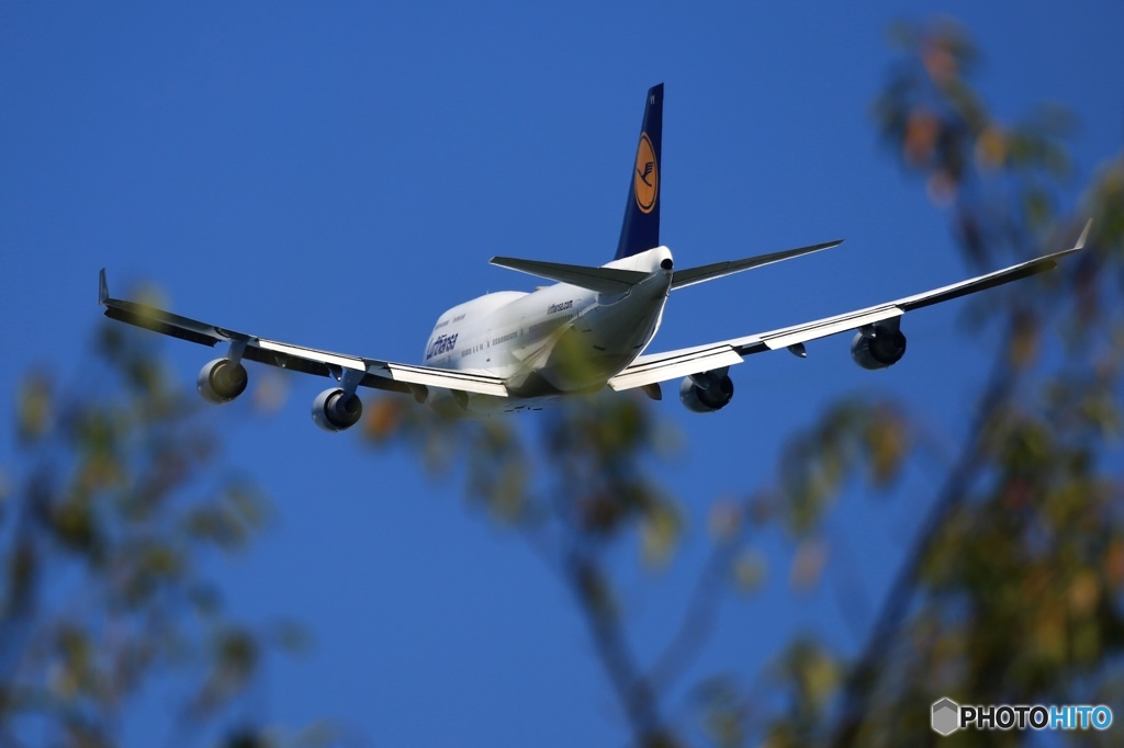 ✈桜の葉の色も変わる季節に！✈