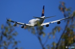 ✈桜の葉の色も変わる季節に！✈