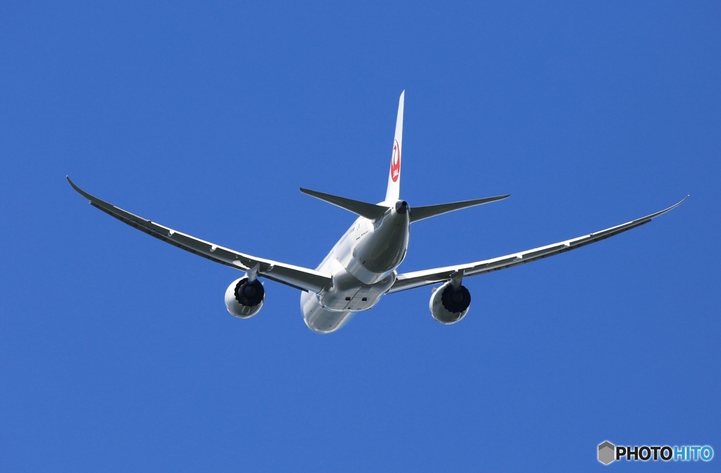 出発 JAL 787-8 JA838J