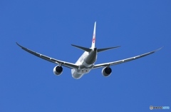 出発 JAL 787-8 JA838J