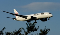 着陸（88）Japan Airlines 787-8