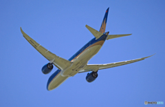 飛行 vietnam 787-9 VN-A865
