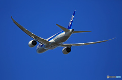 出発 ANA 787-8 JA823A