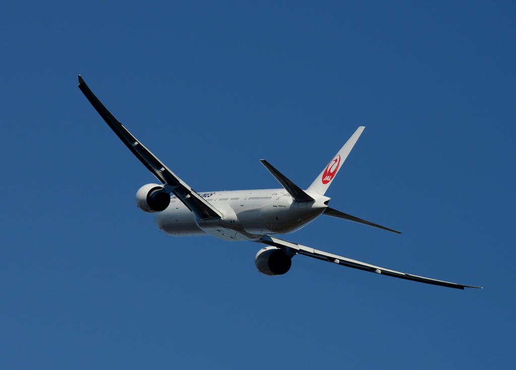 JAL 777-300
