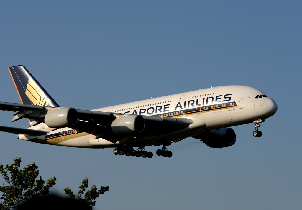 到着　Singapore A380-841 