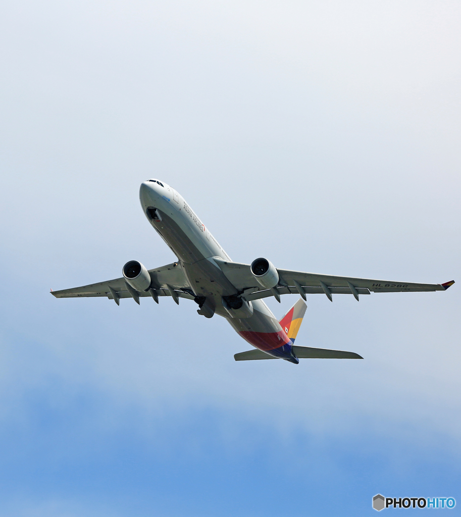 Asiana A330-323 HL8286 離陸 