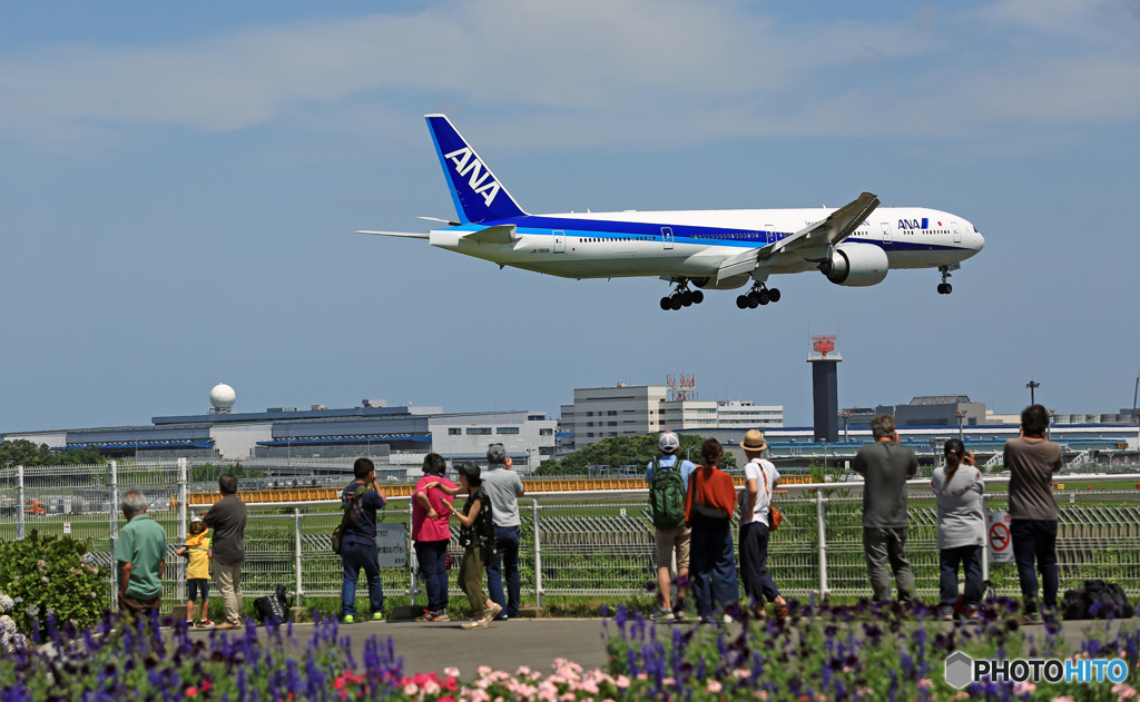 到着 ANA 777-381 JA780A