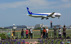 到着 ANA 777-381 JA780A