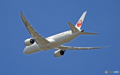 出発 JAL 787-8 JA840J