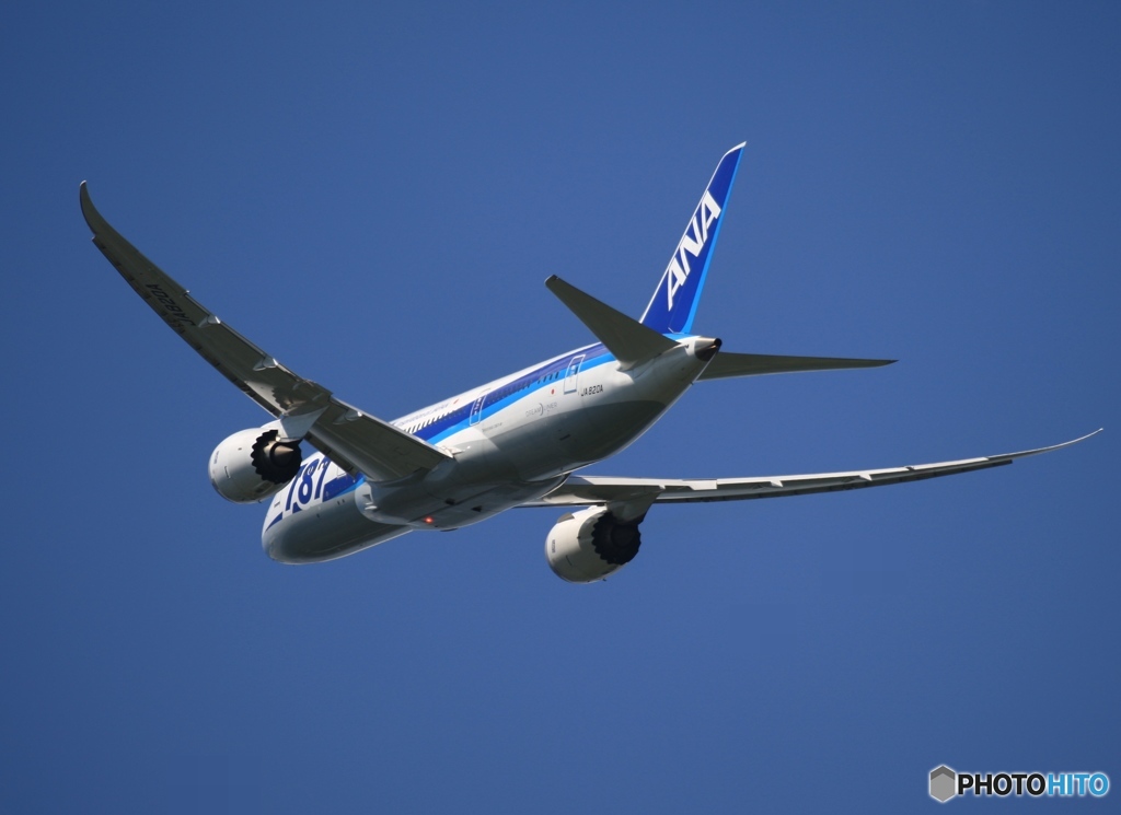 ANA 787-8 飛行　