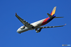 [青い空]　Asiana A330-323 HL7792飛び立ち 