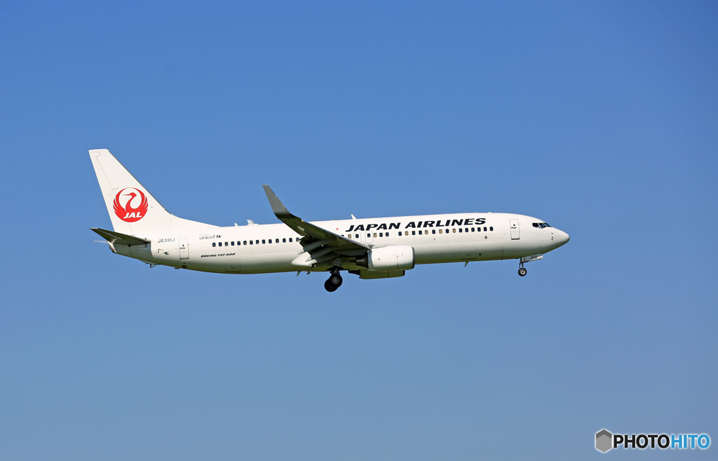 JAL 737-800 JA310J 着陸 