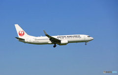 JAL 737-800 JA310J 着陸 