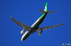 「青い空」が一番 EVA A330-302 B-16337飛び立ち