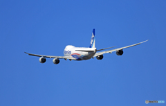 「良い天気」 NCA 747-8KZF JA14KZ☀