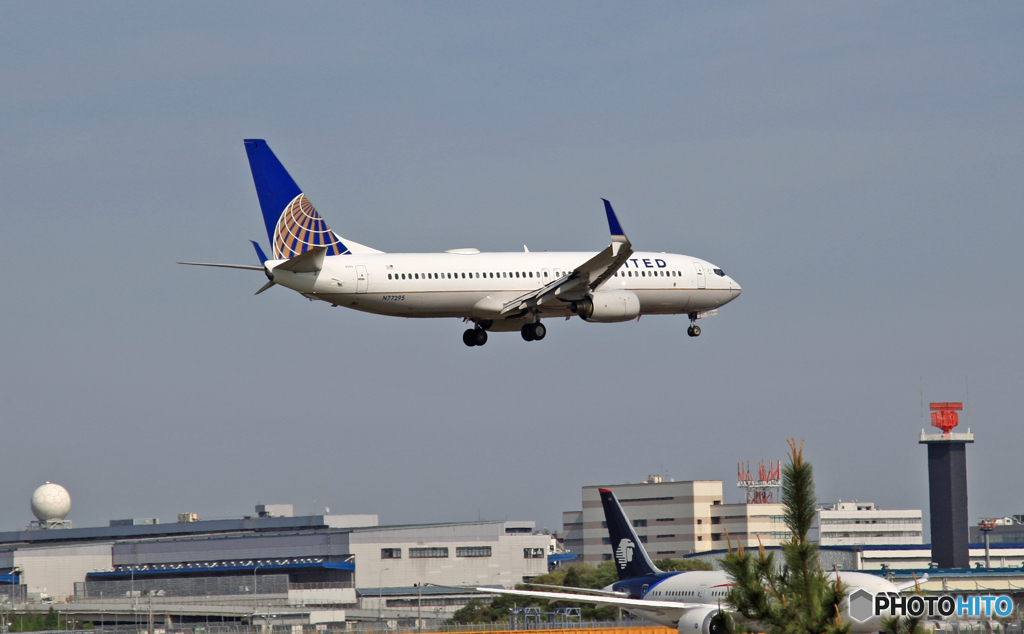 着陸 United 737-800 N77295ｼﾐﾀｰｳｲﾝｸﾞﾚｯﾄ
