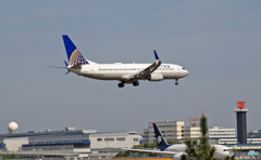着陸 United 737-800 N77295ｼﾐﾀｰｳｲﾝｸﾞﾚｯﾄ