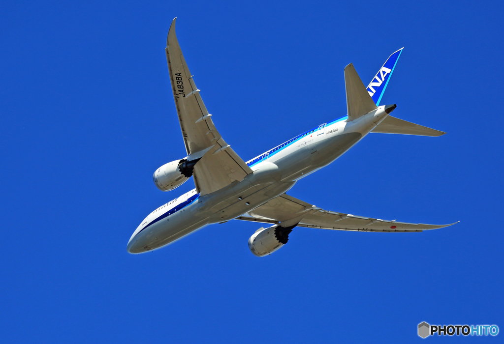 「青い空」が一番 ANA 787-8 JA838A 