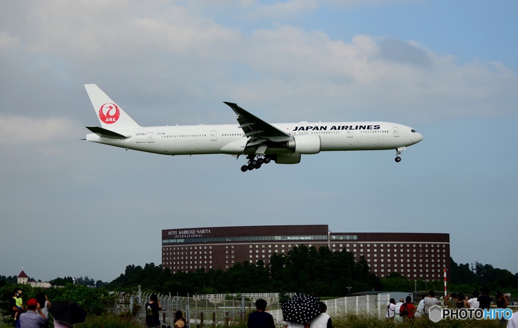 JAL 777-346