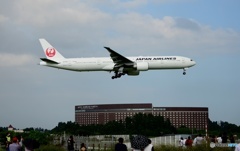 JAL 777-346