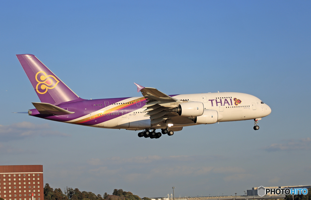 ✈「空色」 Thai A380-841 HS-TUF到着