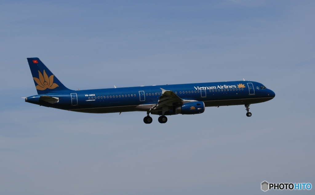 vietnam A321-231 到着　