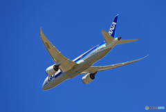 「良い天気」 ANA 787-8 JA822A飛行 