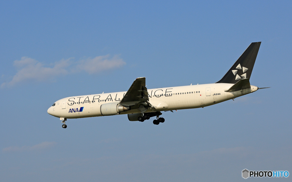 「青空」 ANA STAR-AL 767-381 JA614A