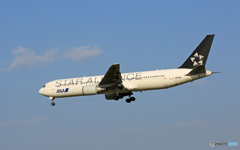 「青空」 ANA STAR-AL 767-381 JA614A
