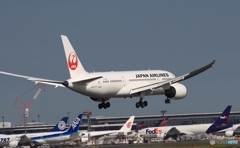 JAL 787-8 到着　