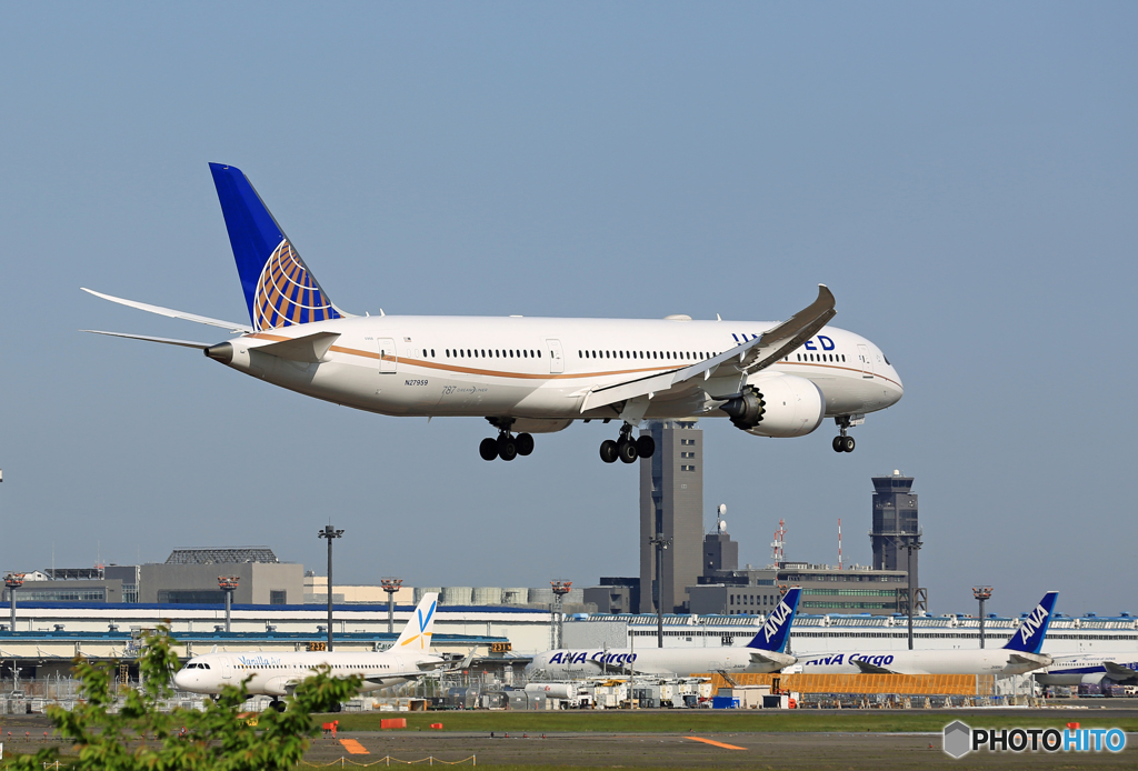 「SKY」 UNITED 787-9 N27959 Landing